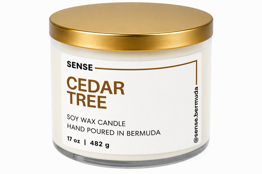 Cedar Tree
