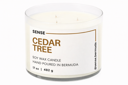 Cedar Tree
