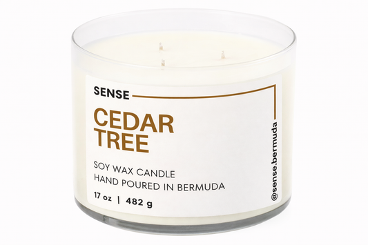 Cedar Tree
